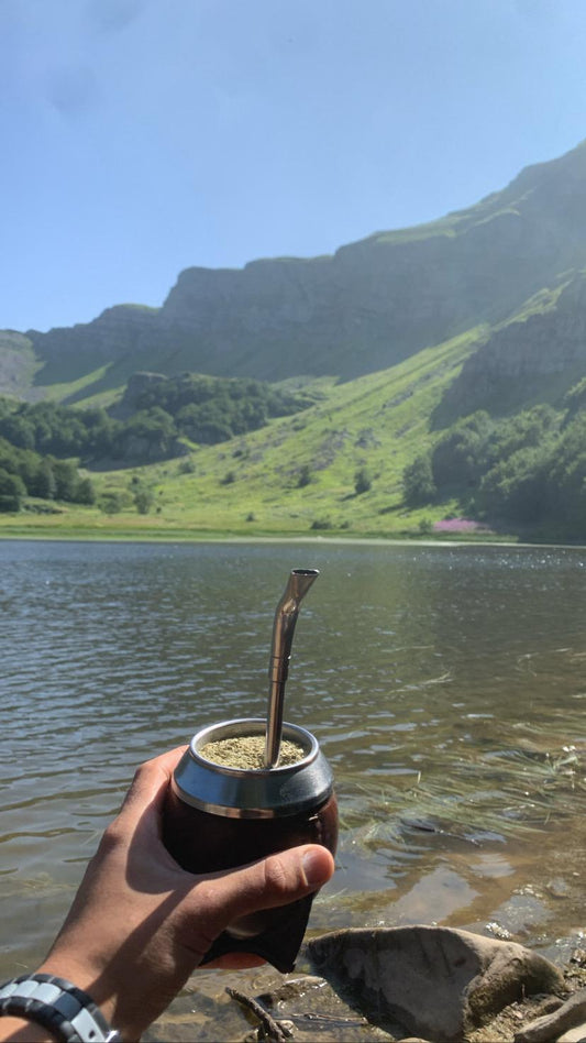 La storia del mate: dalle tribù guaraní ai giorni nostri ☀️🌿🧉