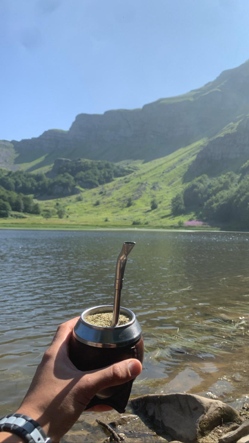 La storia del mate: dalle tribù guaraní ai giorni nostri ☀️🌿🧉