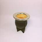 Mate Camionero